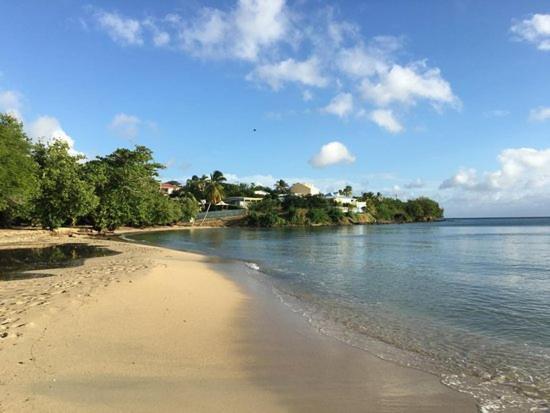 Nouveau Domaine De Mabouya Vue Mer Et Proximite Plage Sainte-Luce Extérieur photo